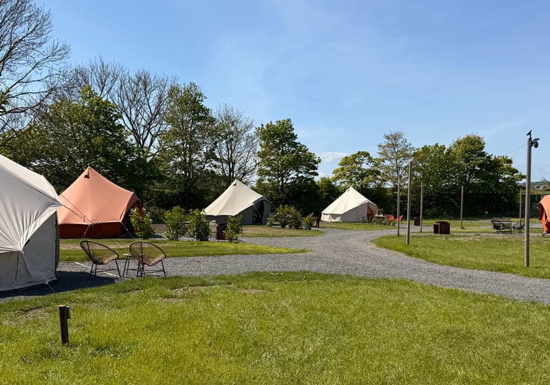 Bell tents on the glamping field at Coast and Castles on a sunny day